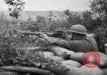 Image of 1903 Springfield rifle with sniper scope United States USA, 1918, second 6 stock footage video 65675048405