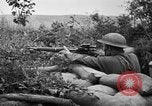 Image of 1903 Springfield rifle with sniper scope United States USA, 1918, second 8 stock footage video 65675048405