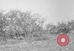 Image of AEF training with small mountain gun France, 1918, second 1 stock footage video 65675048416