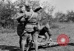 Image of AEF training with small mountain gun France, 1918, second 20 stock footage video 65675048416