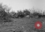 Image of AEF training with small mountain gun France, 1918, second 32 stock footage video 65675048416