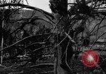 Immagine di Parco Nazionale di Yellowstone Wyoming United States USA, 1917, secondo 20 filmato di repertorio 65675048437