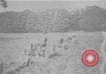 Immagine di Righe di trattori United States USA, 1917, secondo 1 filmato di repertorio 65675048439