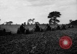 Immagine di Righe di trattori United States USA, 1917, secondo 28 filmato di repertorio 65675048439