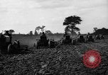 Immagine di Righe di trattori United States USA, 1917, secondo 33 filmato di repertorio 65675048439