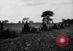 Immagine di Righe di trattori United States USA, 1917, secondo 34 filmato di repertorio 65675048439
