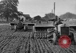 Immagine di Righe di trattori United States USA, 1917, secondo 35 filmato di repertorio 65675048439