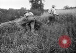 Immagine di Falce United States USA, 1917, secondo 5 filmato di repertorio 65675048440
