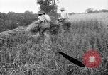 Immagine di Falce United States USA, 1917, secondo 7 filmato di repertorio 65675048440