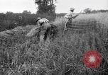 Immagine di Falce United States USA, 1917, secondo 8 filmato di repertorio 65675048440