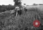 Immagine di Falce United States USA, 1917, secondo 9 filmato di repertorio 65675048440