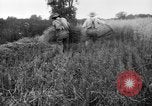 Immagine di Falce United States USA, 1917, secondo 10 filmato di repertorio 65675048440