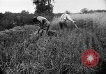 Immagine di Falce United States USA, 1917, secondo 11 filmato di repertorio 65675048440