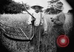 Immagine di Falce United States USA, 1917, secondo 14 filmato di repertorio 65675048440