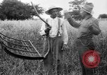 Immagine di Falce United States USA, 1917, secondo 16 filmato di repertorio 65675048440