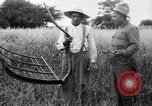 Immagine di Falce United States USA, 1917, secondo 17 filmato di repertorio 65675048440