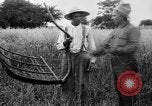 Immagine di Falce United States USA, 1917, secondo 18 filmato di repertorio 65675048440