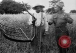 Immagine di Falce United States USA, 1917, secondo 19 filmato di repertorio 65675048440