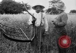 Immagine di Falce United States USA, 1917, secondo 20 filmato di repertorio 65675048440