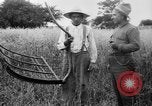Immagine di Falce United States USA, 1917, secondo 21 filmato di repertorio 65675048440