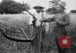 Immagine di Falce United States USA, 1917, secondo 22 filmato di repertorio 65675048440