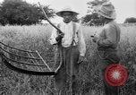 Immagine di Falce United States USA, 1917, secondo 23 filmato di repertorio 65675048440