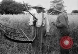 Immagine di Falce United States USA, 1917, secondo 24 filmato di repertorio 65675048440