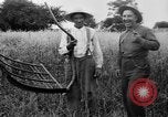 Immagine di Falce United States USA, 1917, secondo 26 filmato di repertorio 65675048440