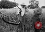 Immagine di Falce United States USA, 1917, secondo 29 filmato di repertorio 65675048440