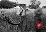 Immagine di Falce United States USA, 1917, secondo 33 filmato di repertorio 65675048440