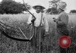 Immagine di Falce United States USA, 1917, secondo 37 filmato di repertorio 65675048440