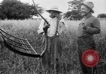 Immagine di Falce United States USA, 1917, secondo 39 filmato di repertorio 65675048440