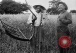 Immagine di Falce United States USA, 1917, secondo 40 filmato di repertorio 65675048440