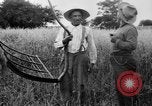Immagine di Falce United States USA, 1917, secondo 41 filmato di repertorio 65675048440
