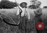 Immagine di Falce United States USA, 1917, secondo 44 filmato di repertorio 65675048440