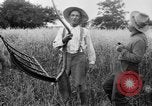 Immagine di Falce United States USA, 1917, secondo 45 filmato di repertorio 65675048440