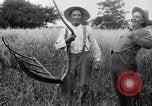 Immagine di Falce United States USA, 1917, secondo 47 filmato di repertorio 65675048440