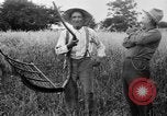 Immagine di Falce United States USA, 1917, secondo 48 filmato di repertorio 65675048440
