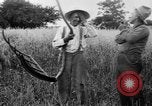 Immagine di Falce United States USA, 1917, secondo 49 filmato di repertorio 65675048440