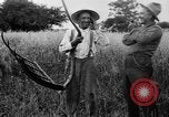 Immagine di Falce United States USA, 1917, secondo 50 filmato di repertorio 65675048440