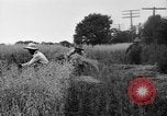 Immagine di Falce United States USA, 1917, secondo 52 filmato di repertorio 65675048440