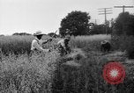 Immagine di Falce United States USA, 1917, secondo 53 filmato di repertorio 65675048440