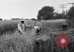 Immagine di Falce United States USA, 1917, secondo 58 filmato di repertorio 65675048440