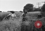 Immagine di Falce United States USA, 1917, secondo 59 filmato di repertorio 65675048440
