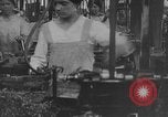 Image la fabrication de munitions Italie, 1916, de la seconde 48 séquences d'archives historiques vidéo 65675048467