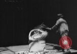 Image of manufacturing glass Italy, 1918, second 18 stock footage video 65675048472
