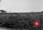 Image of United States 328th Tank Battalion France, 1918, second 27 stock footage video 65675048474
