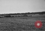 Image of United States 328th Tank Battalion France, 1918, second 36 stock footage video 65675048474