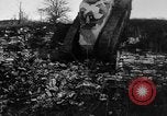 Image of United States Renault tank France, 1918, second 9 stock footage video 65675048479