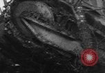 Image of United States Renault tank France, 1918, second 30 stock footage video 65675048479